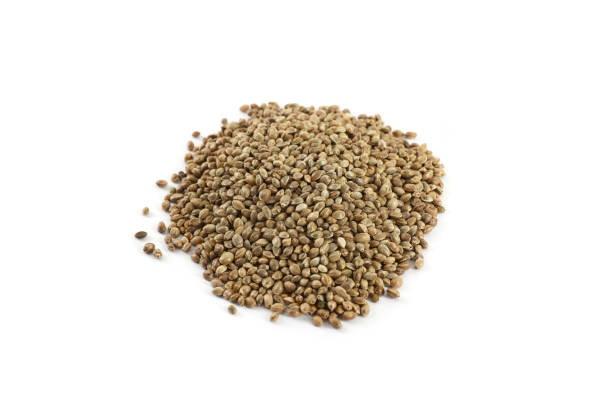 istock Pile of hemp seeds on white background 1177781468