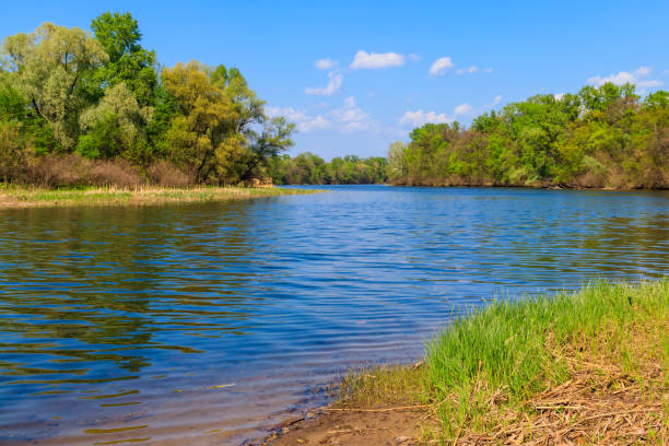 istock Summer landscape with beautiful river, green trees and blue sky 1177787160