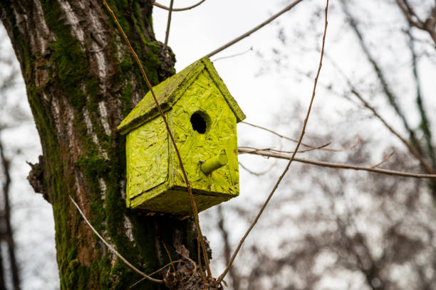 istock Autumn concept. Yellow tiny birdhouseon tree in forest. 1177789220