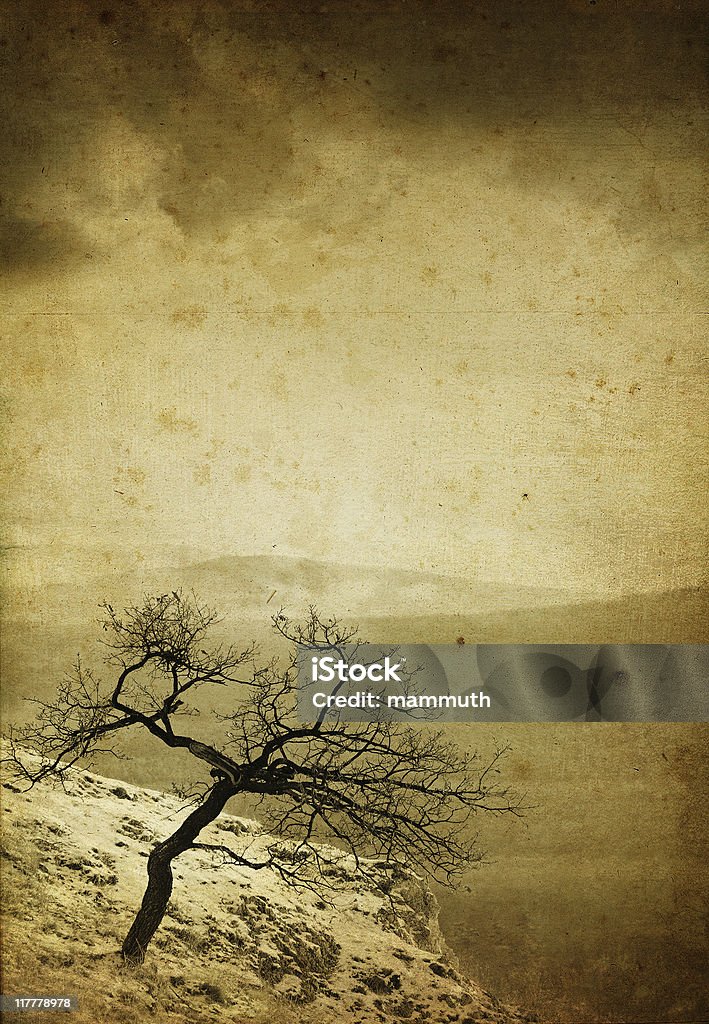 Винтажный lonely tree - Стоковые фото Антиквариат роялти-фри