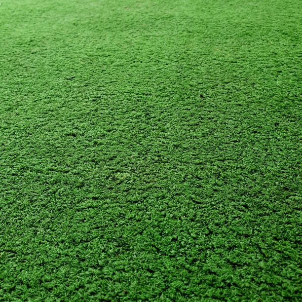 istock Cricket Pitch Texture Close up. Green Grass. Indoor Cricket Turf texture 1177790105