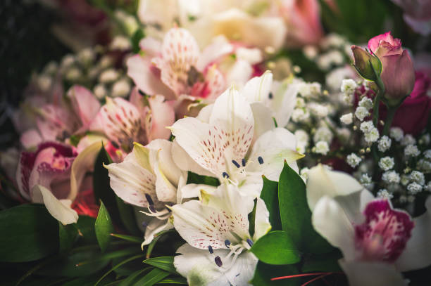 istock Beautiful summer flowers abstract background 1177791168