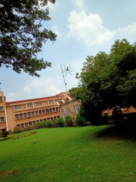 istock NIT Rourkela building with giant Spider 1177805696
