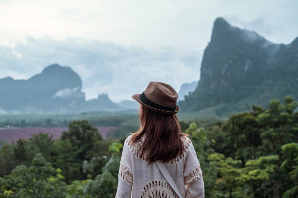 istock Young woman traveler looking at beautiful view 1177805797