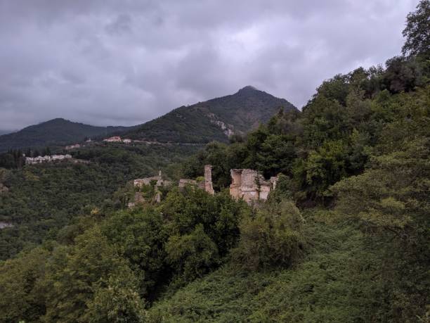 Scenic View Of Trees And Mountains Against Sky