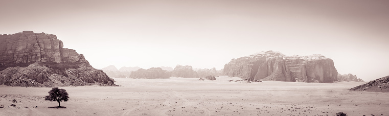 Panoramic Approach to Wadi Rum - Lonley Tree at Lawrence Source (Vintage BW)