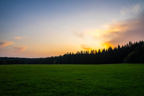 germany, colorful sunset sky decorating edge of forest over green meadow and black forest trees in summertime, a popular tourism region - forest black forest sky night imagens e fotografias de stock