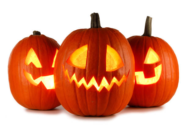 istock Halloween Pumpkins on white 1177816715