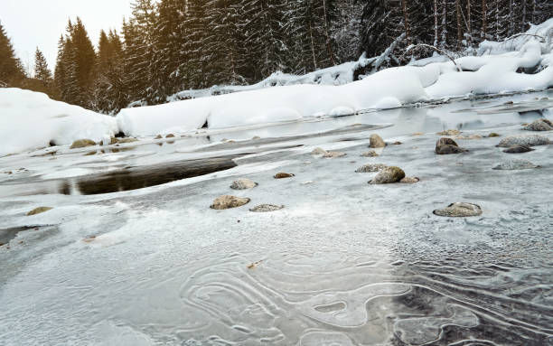 istock Morning on frozen river in winter, low angle photo, focus on ice patterns and stones, with coniferous trees and rising sun in distance 1177818111
