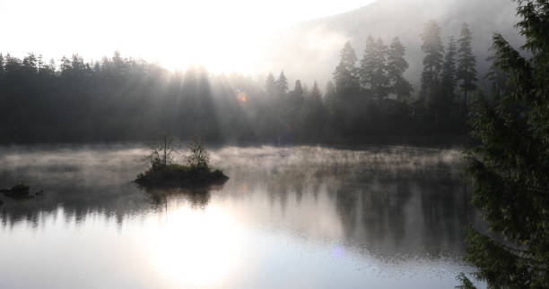 istock Scenic view of lake at sunrise 1177820200