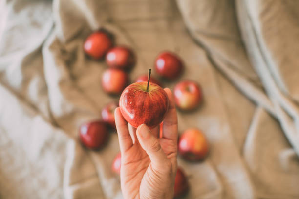 istock Hand holding red fresh apples as background, close up view. 1177823098