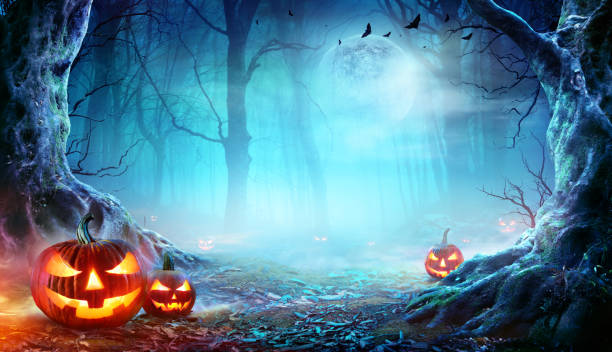Jack O’ Lanterns In Spooky Forest At Moonlight - Halloween Halloween Pumpkins Smiling In Mist Forest At Moonlight halloween stock pictures, royalty-free photos & images