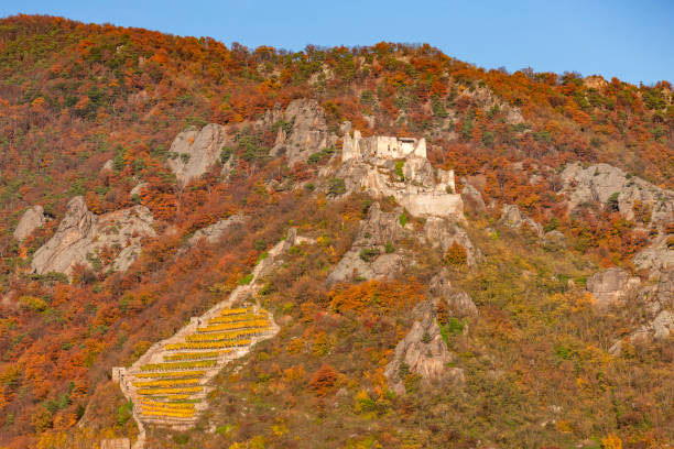 istock Durnstein on the Danube River in Wachau Valley, Austria 1177827496