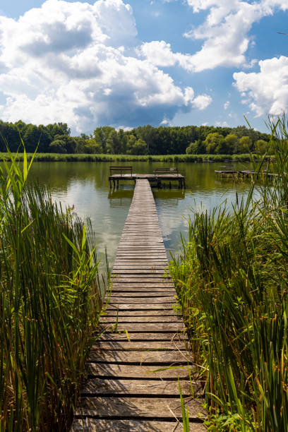 istock Pier on the pond Jenoi-to, Hungary 1177827545