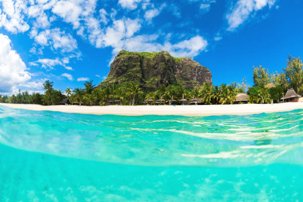 istock Tropical ocean with Le Morne mountain and beach in Mauritius. 1177829016
