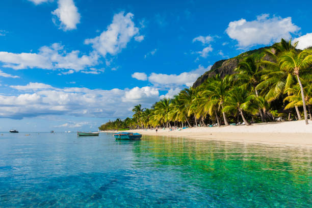 piękny widok na luksusową plażę na mauritiusie. przezroczysty ocean, biała piaszczysta plaża, palmy i błękitne niebo - seychelles sea lagoon tropical climate zdjęcia i obrazy z banku zdjęć