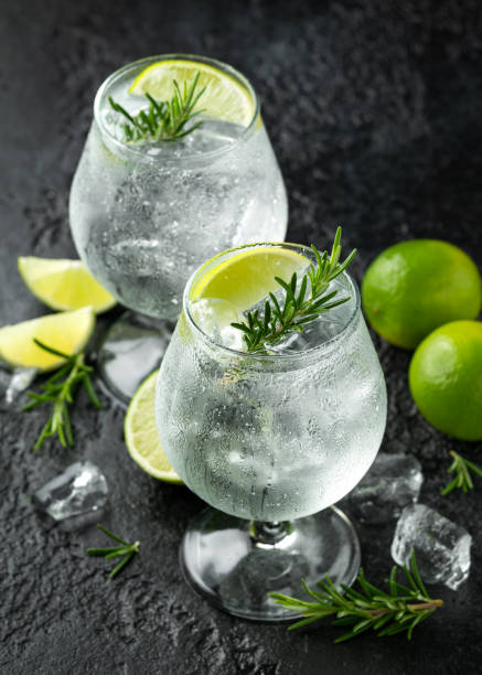 istock Gin and Tonic Alcohol drink with Lime, Rosemary and ice on rustic black table 1177829583