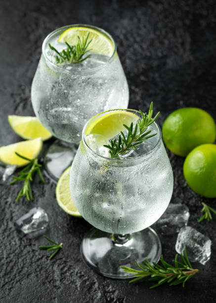 Gin and Tonic Alcohol drink with Lime, Rosemary and ice on rustic black table Gin and Tonic Alcohol drink with Lime, Rosemary and ice on rustic black table. gin tonic stock pictures, royalty-free photos & images