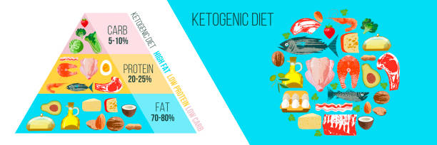 Ketogenic diet. A large set of products for the keto diet. Keto pyramid. Vector illustration. Ketogenic diet. A large set of products for the keto diet. Keto pyramid. Vector illustration with unique vector hand drawn texture. Colorful poster with different products. atkins diet stock illustrations
