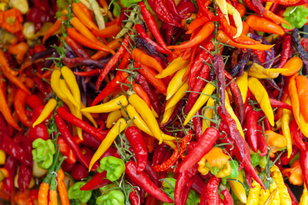 un tas de piments colorés différents joliment disposés sur un marché à vendre. - chili pepper photos et images de collection