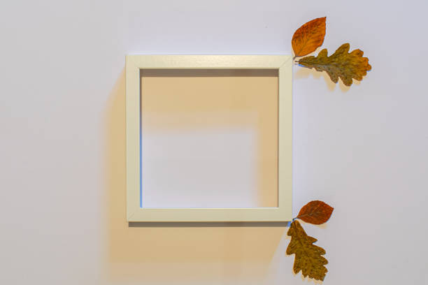istock Autumn composition. Dried leaves on white background. Autumn, fall, halloween, thanksgiving day concept. Flat lay, top view, copy space 1177837743