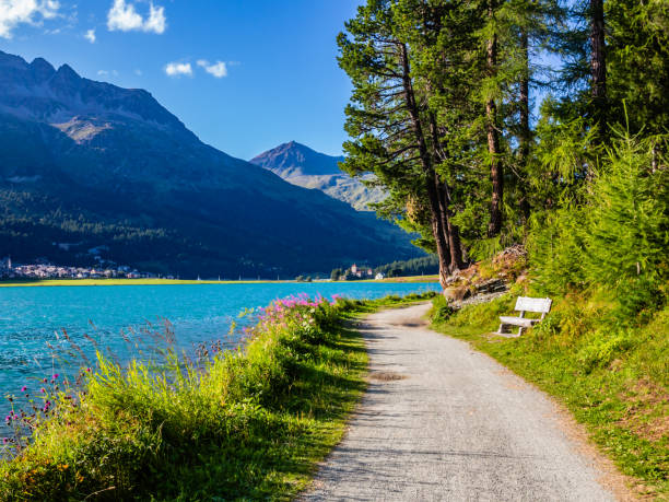 シルバプラナ湖 - engadin valley engadine european alps mountain ストックフォトと画像