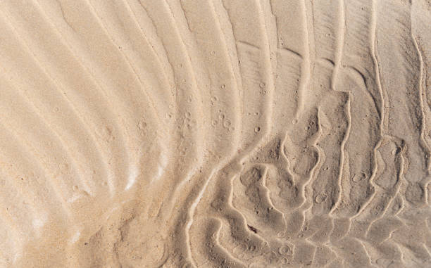 istock waves in the hot sand 1177840667
