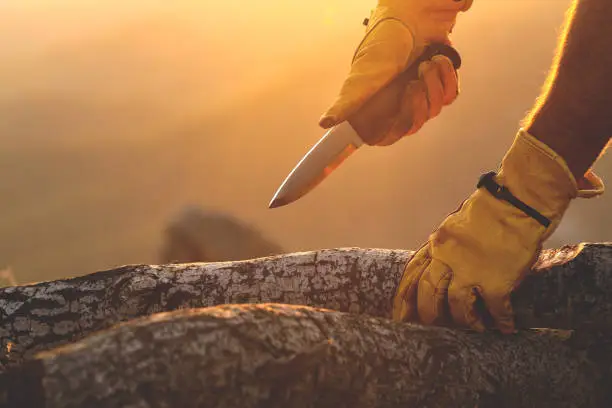 Man sharpens a branch with a knife