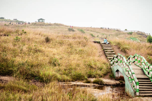 vista da paisagem de sohra cherapunjee, distrito de east khasi hills no estado indiano de meghalaya, o lugar o mais chuvoso na terra. cherrapunji, mawsynram, meghalaya, pessoa - spring forest scenics wetland - fotografias e filmes do acervo