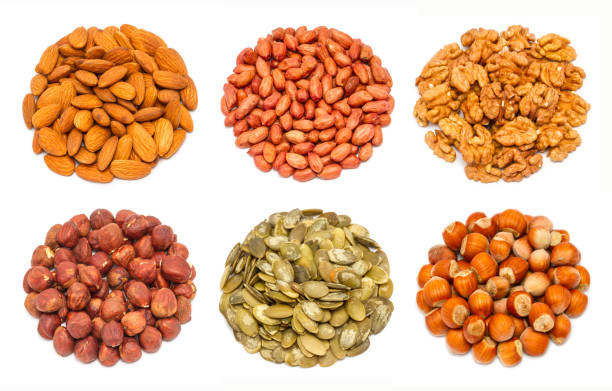 istock Set of different types of nuts 1177845616