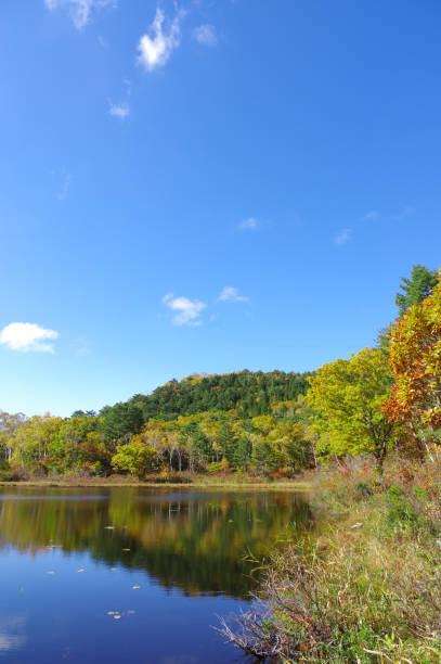 istock Autumn leaves of Ichinuma (Shiga Kogen) 1177845808
