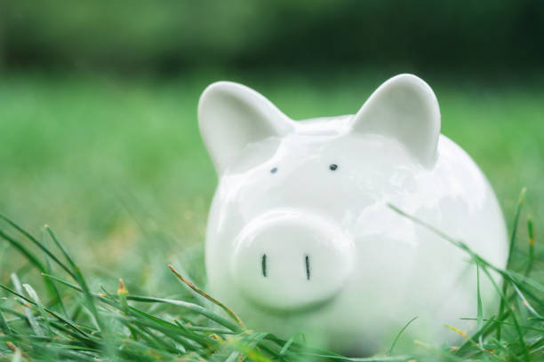istock Piggy bank grass field outdoor 1177846447