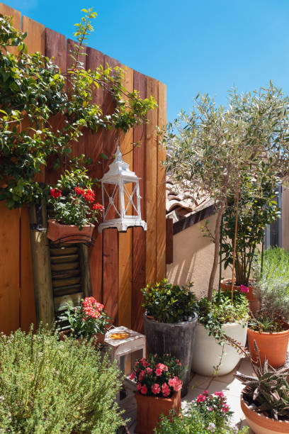 istock Garden on the terrace, blue sky 1177846461