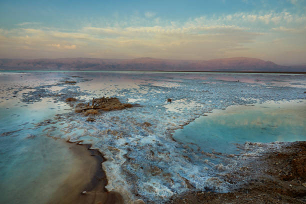 dead sea, is a salt lake bordering jordan to the north, and israel to the west. - travel jordan israel sand imagens e fotografias de stock