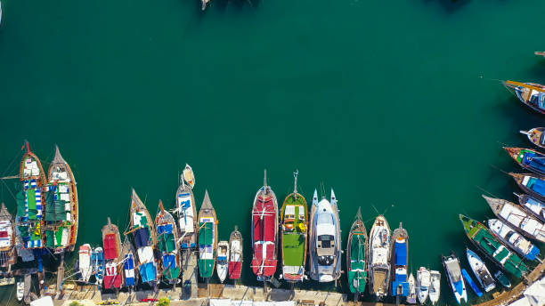 kyrenia - birds eye chilli photos et images de collection