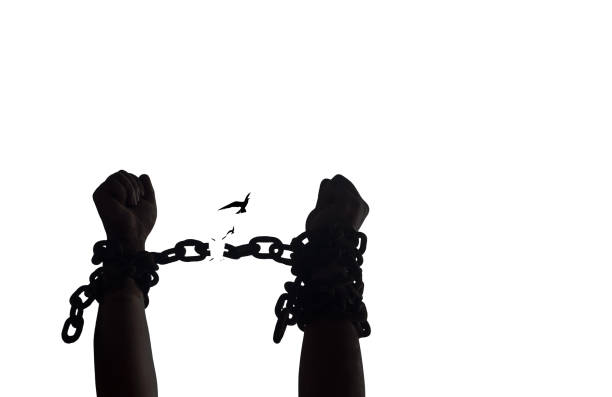 International day for the remembrance of the slave trade and its abolition concept Silhouette human hands raising and broken chains with bird flying isolated on white background slavery stock pictures, royalty-free photos & images