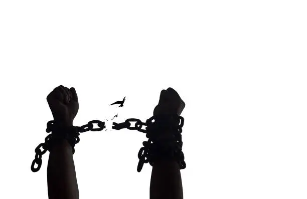 Silhouette human hands raising and broken chains with bird flying isolated on white background