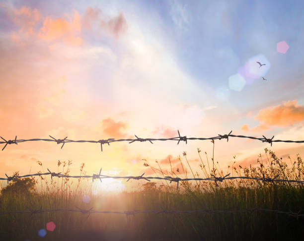Holocaust and death concept Barbed wire on autumn meadow sunset background holocaust stock pictures, royalty-free photos & images