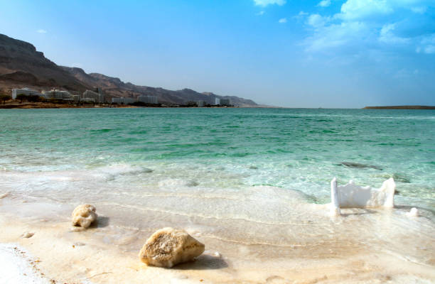 plaża crystal sal na wybrzeżu morza martwego, izrael. - travel israel day crystal zdjęcia i obrazy z banku zdjęć