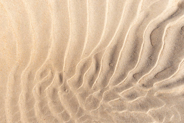 vagues dans le sable chaud - pattern nature textured beach photos et images de collection