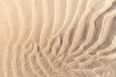 waves in the hot sand