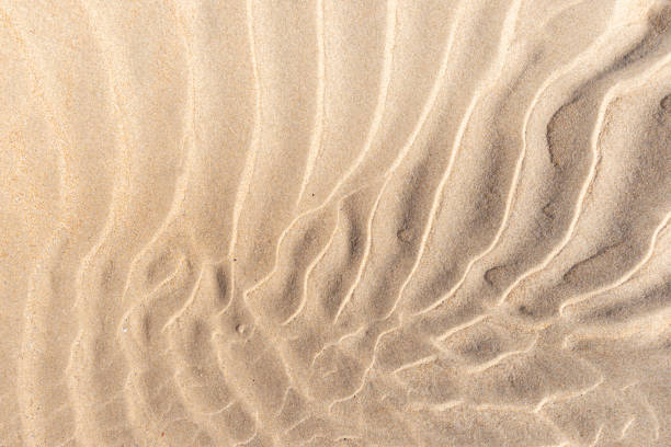 waves in the hot sand - pattern nature textured beach imagens e fotografias de stock