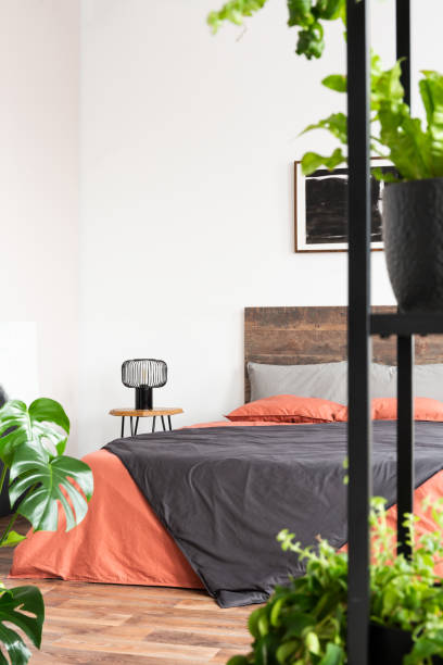 istock Vertical view of simple bedroom interior with urban jungle 1177851286