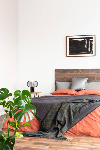 istock Monster flower in simple bedroom interior with empty white wall 1177851304