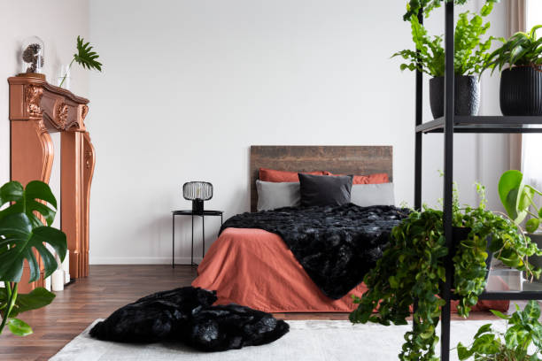 istock Copy space on empty white wall of rustic bedroom interior with king size bed with orange bedding and black duvet 1177851316