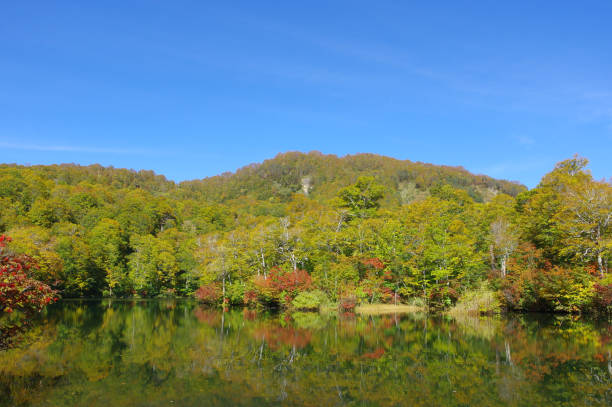 istock Autumn leaves of Kamaike 1177851342