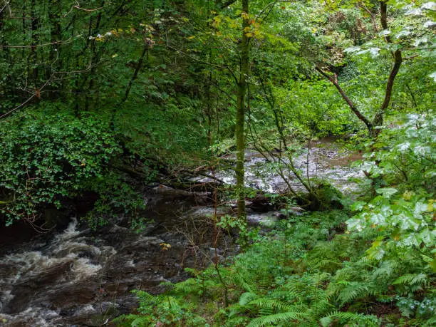 Photo of Beautiful South Wales Melincourt Falls Waterfall Rocks Wet