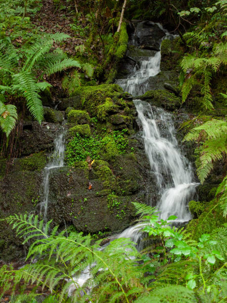 istock Beautiful South Wales Melincourt Falls Waterfall Rocks Wet 1177852519