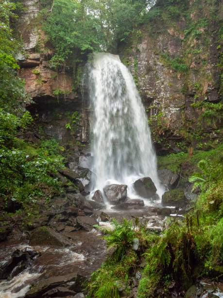 istock Beautiful South Wales Melincourt Falls Waterfall Rocks Wet 1177852573