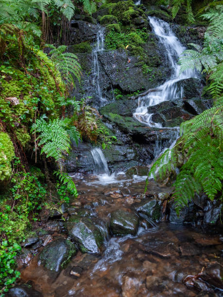 istock Beautiful South Wales Melincourt Falls Waterfall Rocks Wet 1177852967